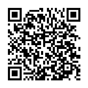 则是已经许久没看到的黄金独角仙的救赎之果也出现了二维码生成