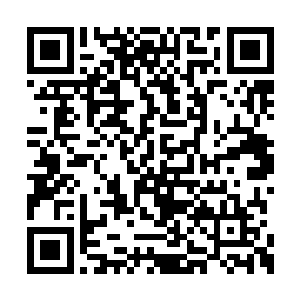 则是改变我们武魂一脉整个命运的一个辉煌时代二维码生成