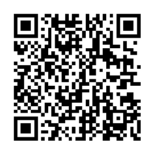 则是有两名白发苍苍的老者如石雕般的盘膝而坐二维码生成