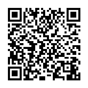 则是李清书和郑浩然两位自然系能力者成为了d级二维码生成