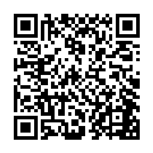 则是由与叶凡有着直接利益冲突的红河集团公司老总柯震牵头二维码生成