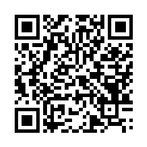 则是眨巴着眼睛好奇地观察着孟猊的五官面貌二维码生成