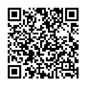 则是被苏林用五丈刀气连续撞破的十几面墙壁迷惑了二维码生成