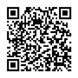 则是这个家族必须拥有强大的家族影响力和家族势力二维码生成