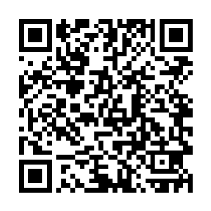 则有许多完全是奥斯卡导向的顾客询问着影碟店老板二维码生成