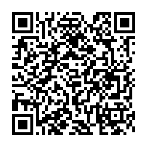 则直接从影魔的头上独角下面位于额头正中的一片鳞片下面飞出来二维码生成