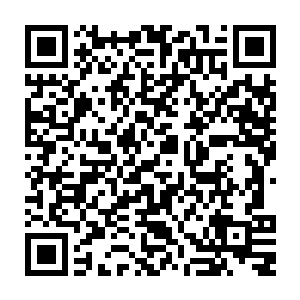 则还可以在地方一级的采购储备目录中增加一些具有地方特色的植物种子的储备二维码生成