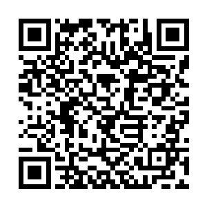 刚一进门就有一位漂亮的身穿红色制服露出一对修长二维码生成