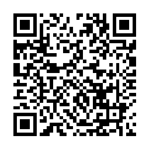 刚准备跟自家徒弟商讨一下怎么应对那个讨人厌的病人二维码生成