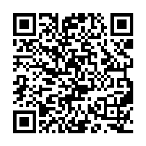 刚刚两股脑电波的碰撞令他瞬间明白一个惊人的事实二维码生成