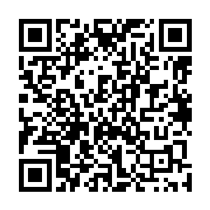 刚刚主动亲了我一下的白奇雪这时候害羞得根本不敢看我二维码生成