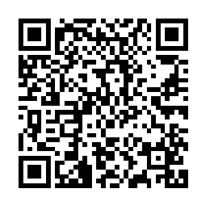 刚刚从一辈子无忧无虑的天堂被打到地面上的老百姓突然发现二维码生成