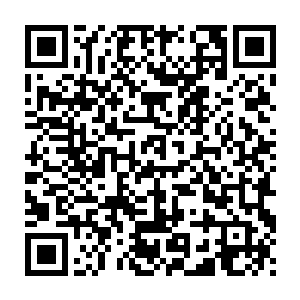 刚刚从屋檐下闪出身影的巴克就提着木棍准备上前两步打昏这个老头二维码生成