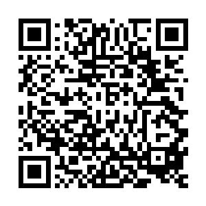 刚刚从屋里逃出来的几个护士和医生此时的表情都是惊骇无比二维码生成