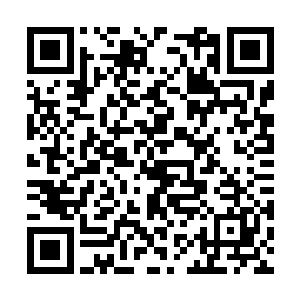 刚刚他已经将一切可能发生的意外全都算在里面了二维码生成