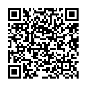 刚刚他还以为自己的那一下已经将夏天给斩杀了呢二维码生成