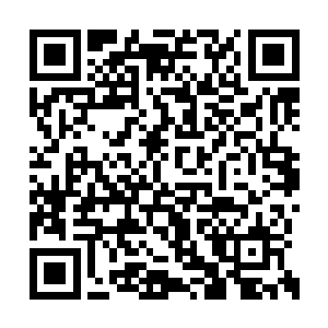 刚刚你不是已经测算出其中一人的身体数据了嘛二维码生成