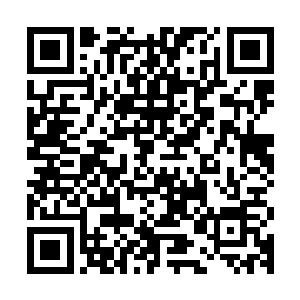 刚刚你所说的生命之花所老鼠的那个神奇的植物种族叫什么名字二维码生成