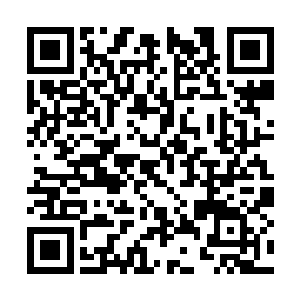 刚刚加入火鸟堂的李嘉华听到这些后简直不敢相信二维码生成