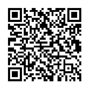 刚刚参加了在科罗拉多大学举行的国际胚胎技术协会的年度会议二维码生成