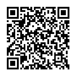 刚刚只不过是我借用了我们麒麟一族的力量而已二维码生成