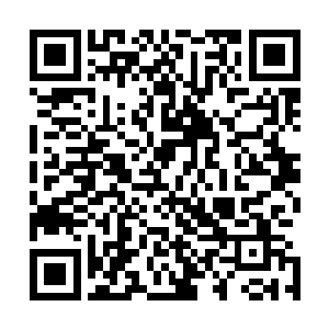 刚刚吓得抱头蹲在地上的那位就完全没有一点儿侥幸的念头二维码生成