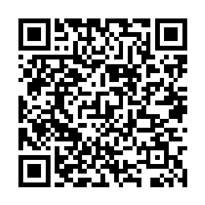 刚刚吸收了梁长老元婴带来的负罪感在一点点消失二维码生成