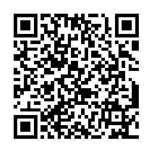 刚刚围着这两条怪蛇的三大宗门的骑士都还没有飞远二维码生成