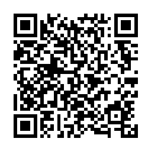 刚刚在桌上周胖子不是还对这个五妹夫横挑鼻子竖挑眼的嘛二维码生成