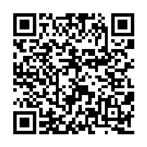 刚刚妖族头子的自爆可以说打了他一个措手不及二维码生成