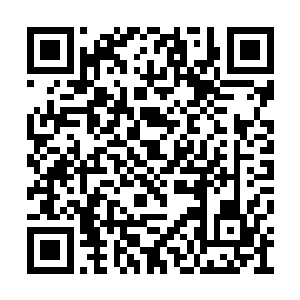 刚刚对二人施加试探的也是这两只爪子中的一只二维码生成