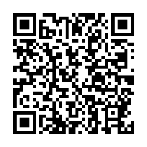 刚刚已经准备动手牺牲掉几个人的张杰也顿时犹豫了一下二维码生成