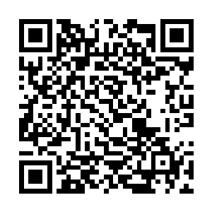 刚刚建立避难所的候鸟议会同样遭遇了外位面的侵袭二维码生成