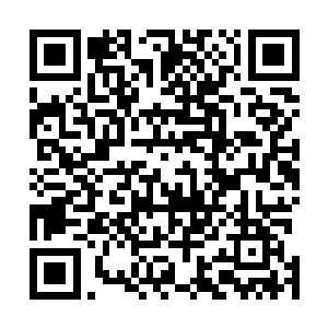 刚刚开始还能够看清方炎冷峻的脸和千叶好武惊恐的眼神二维码生成