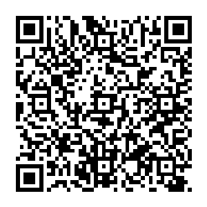 刚刚悬停了身姿的天蓬又是挥舞着九齿钉耙朝正在空中四处搜寻镇元子下落的猴子砸了过去二维码生成