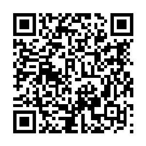 刚刚我忘了店里今天刚到了一款美国r专门定制的二维码生成