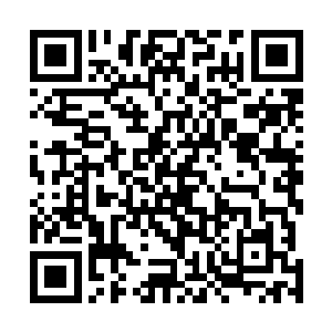 刚刚所有人接到的命令是在渭水上空狙击魔族的翼魔部队二维码生成