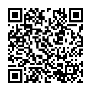 刚刚拉下裤子都可以从沼泽里面跳出两只潜伏蛇怪二维码生成