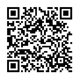 刚刚收到撤退命令的三个纷纷从隐藏的地点中离开了二维码生成