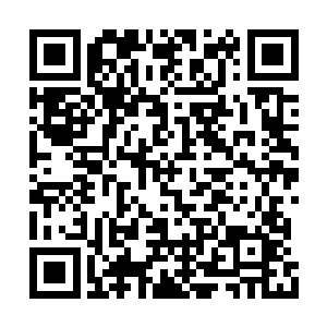 刚刚是他自己不小心摔倒了……跟我有什么关系二维码生成