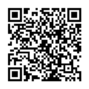 刚刚有人报告上来说有位新生带着违禁饲养的宠物前来就医二维码生成