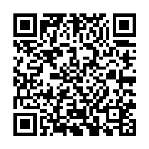 刚刚洗完冷水澡的冰冷的肌肉带给她的是无数个遐想二维码生成