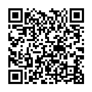 刚刚灭了十万土灵大军的心灵控制师……居然死了二维码生成
