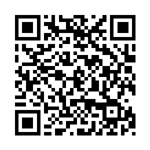 刚刚盛开尚未飞散的花瓣已形成一片巨大花罩二维码生成