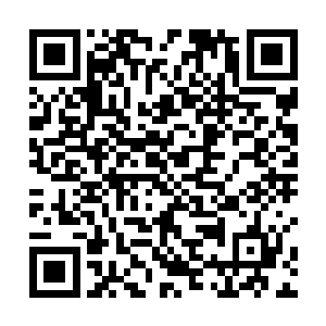 刚刚看出那走到近前的人好像是这绣品铺的另一位主人二维码生成