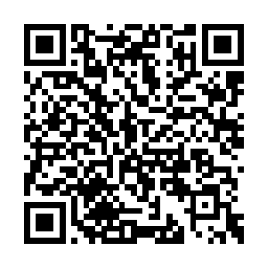 刚刚睁眼的花久久正好看到了车稳稳停下的瞬间二维码生成