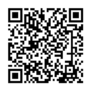 刚刚秦嫣然的话也证实了林烽所说的学习成绩并非虚假二维码生成