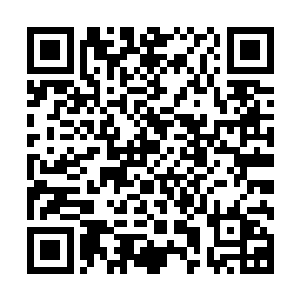 刚刚结成无星刀阵还没出手的黑夜神卫们竟然没法在原地站住二维码生成