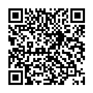 刚刚自己就看见了这个秋意瑟对于这个小丫头不一样的态度二维码生成