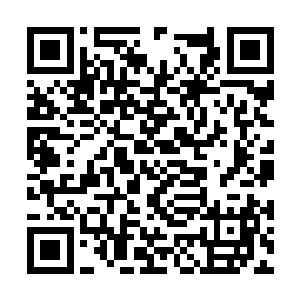 刚刚苏凡的那两下对于他们来说虽然还不至于死亡二维码生成